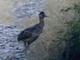 Image from 2026-05-09