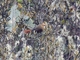 Image from 2026-05-09