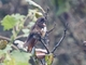 Image from 2026-05-09