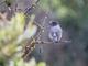 Image from 2026-05-09