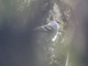 Image from 2026-05-11