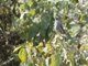 Image from 2026-05-11