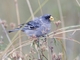 Image from 2026-05-12