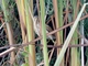 Image from 2026-05-14
