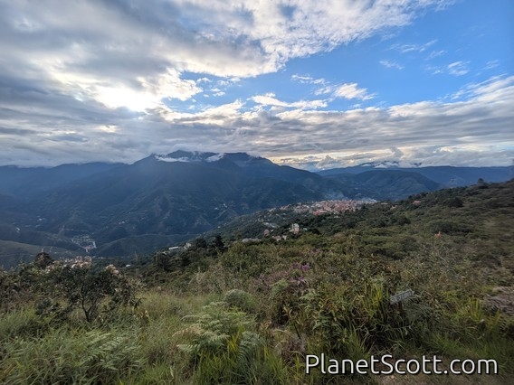 Coroico