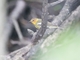 Image from 2026-05-16