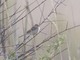 Image from 2026-05-17