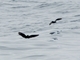 Image from 2026-07-05