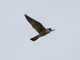 Image from 2008-08-02