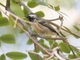 Image from 2026-08-17