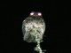 Common Potoo (Nyctibius jamaicensis) 