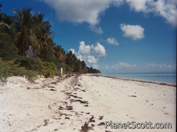 Trip Report, maps, and images for Africa: Part 5: Mozambique to Uganda