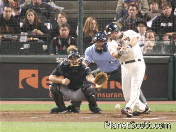 Rich Aurelia Bats (2008)