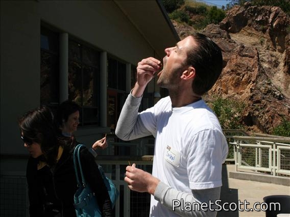 Images for B.A.B.E.S Gallery Images for B.A.B.E.S Gallery