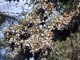 Image from 2010-02-16