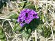 Image from 2010-05-29