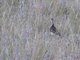 Image from 2012-07-11