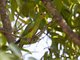 Image from 2012-11-11