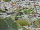 Pheasant-tailed Jacana (Hydrophasianus chirurgus)