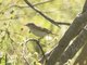Image from 2015-04-02