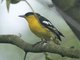 Image from 2016-02-23