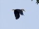 Image from 2016-03-08