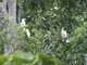 Image from 2016-02-24