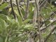 Image from 2016-03-11