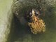Image from 2016-03-16