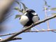 Image from 2016-03-17