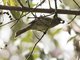 Image from 2016-09-06