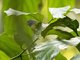 Image from 2017-01-07